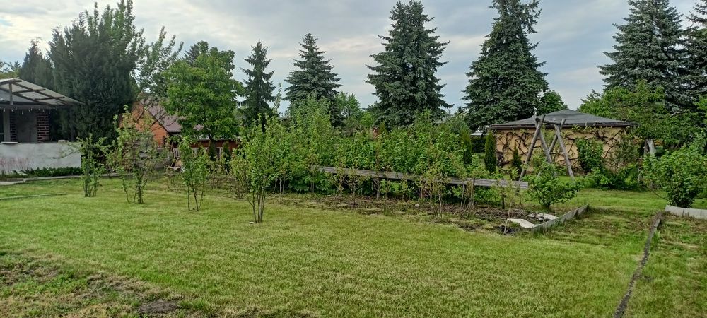 Działka ogrodowa - Widok 5