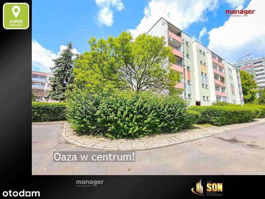 Oaza w centrum! - Więcej