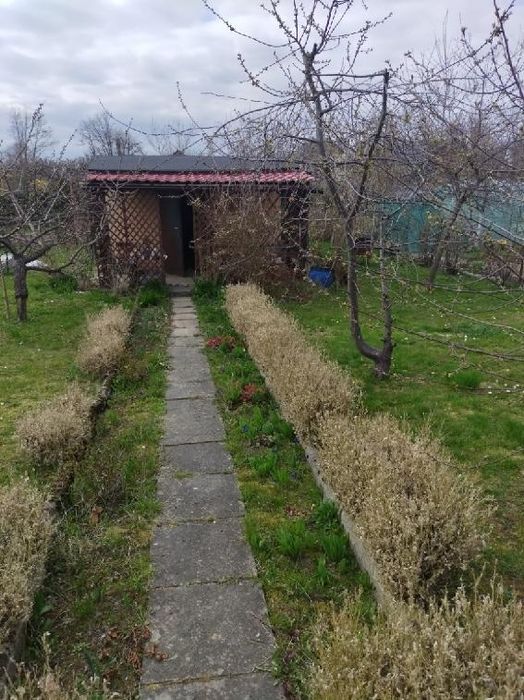 Działka rekreacyjna 317 m² | domek murowany | Kwidzyn ROD Stokrotka