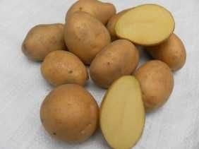 Ziemniaki SORAYA wielkości sadzeniaka, dostępne 5t, gotowe do odbioru.