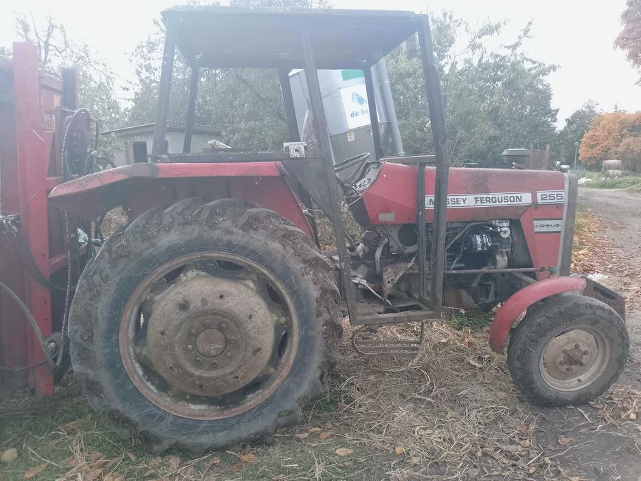 MF 255 perkins ursus