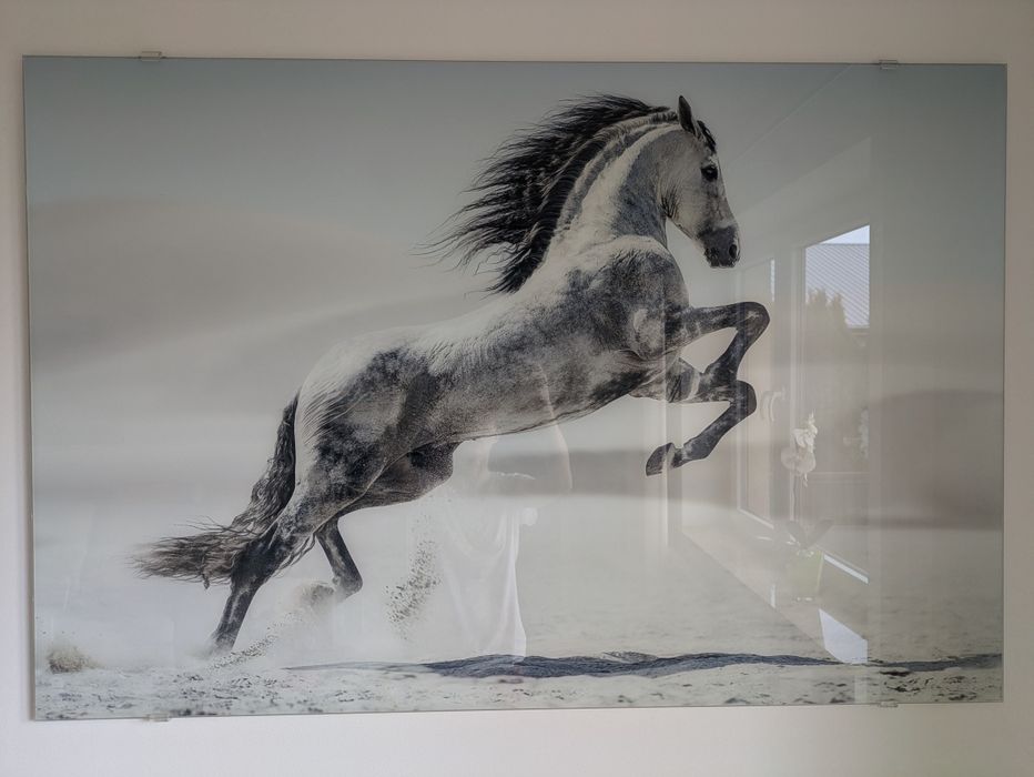 Obraz konia 120x80 w odcieniach niebieskiego i szarości