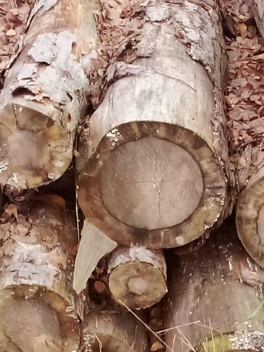 Drewno opałowe, kominkowe