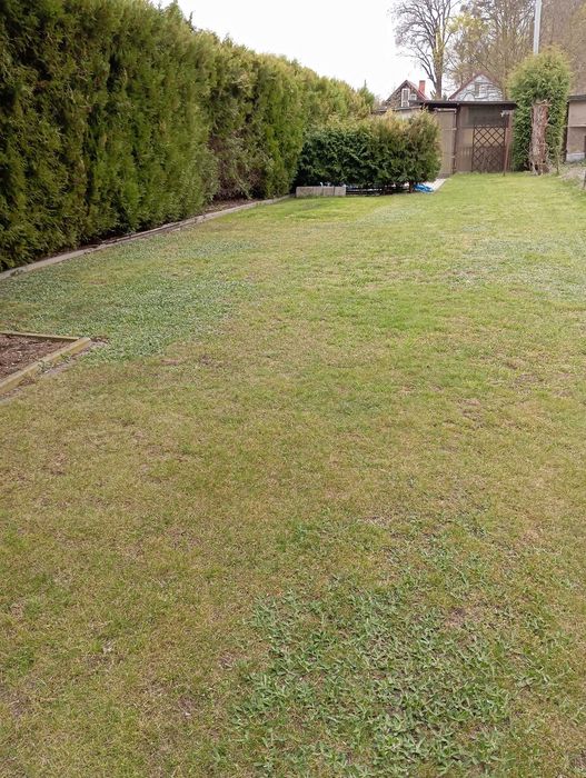 Sprzedam działkę ROD „Jedność” w Skokach – 350 m².