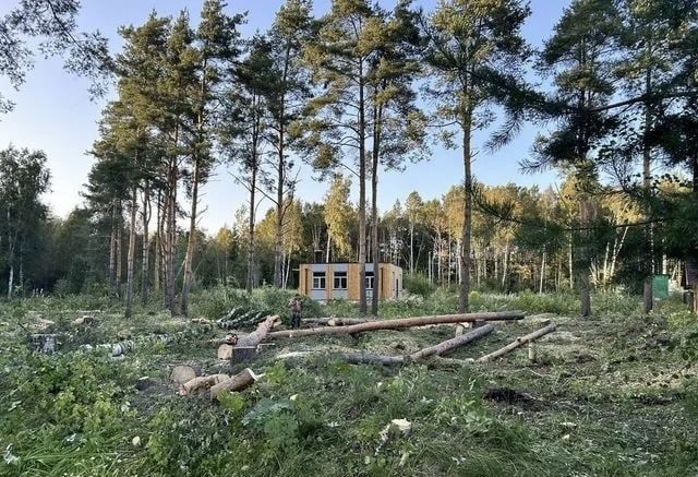 Валка дерев, Обрізка частинами,Кронування,Зачистка Територіі