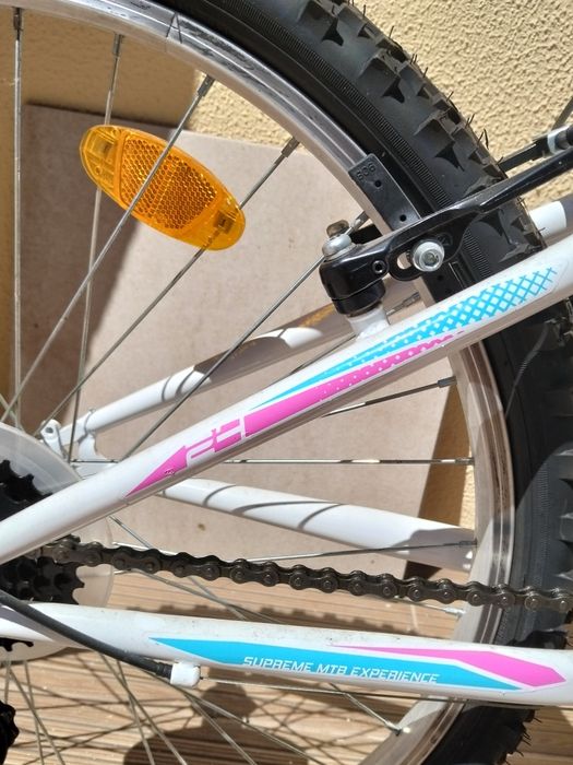 Bicicleta BTT néon stylos MTB 24