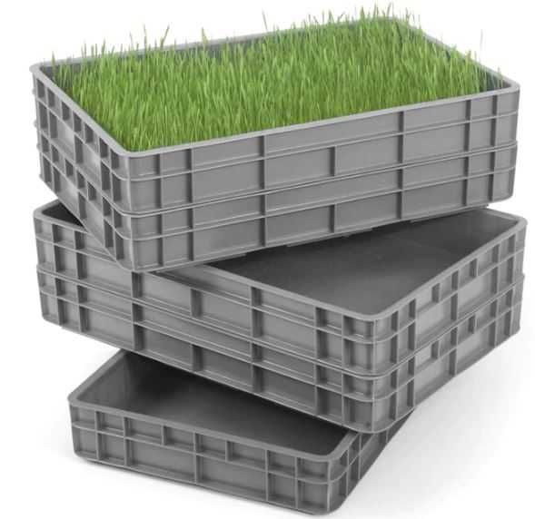 Cestos Recipientes Plásticos para arrumação / alimentos