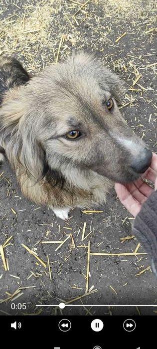 Хлопчик шукає родину.