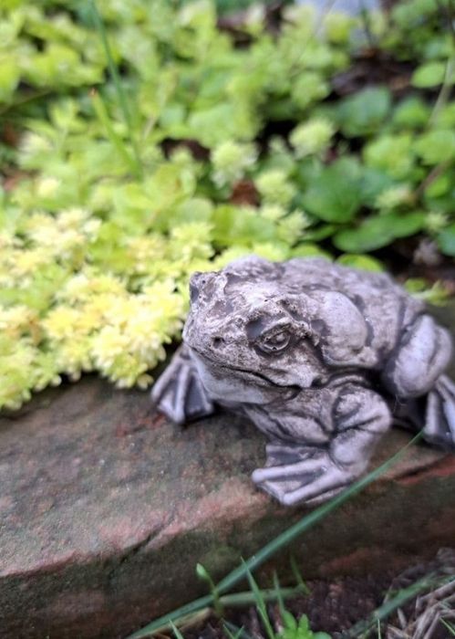 Бетонний декор, декор саду, водойми, пташка