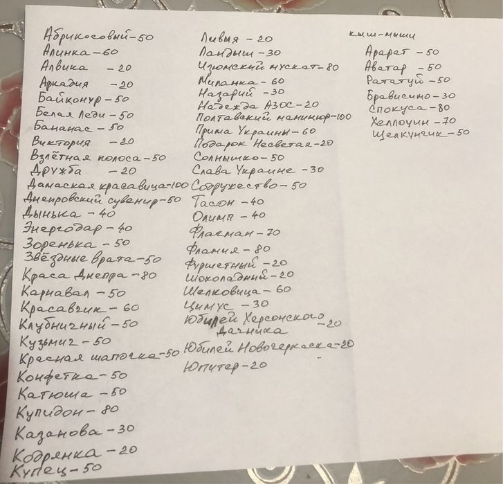 Продам різочки , черенки винограду