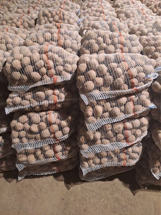 Ziemniaki jadalne irga