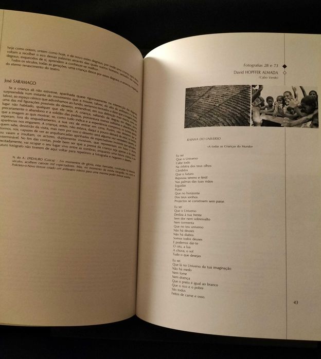 Carlos Pinto Coelho - A meu ver