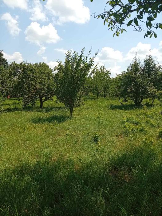 Продам земельну ділянку