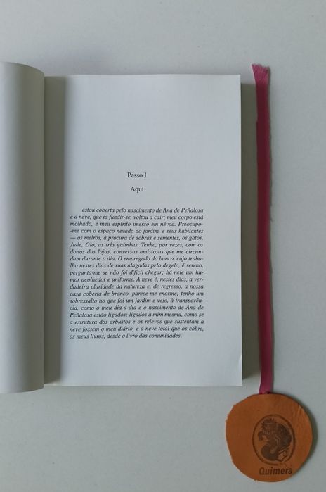 Causa amante: Trilogia O Litoral do Mundo I