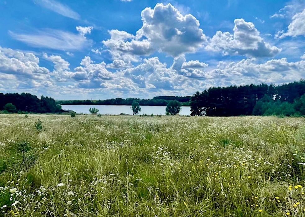 Продається ділянка в с. РІвець