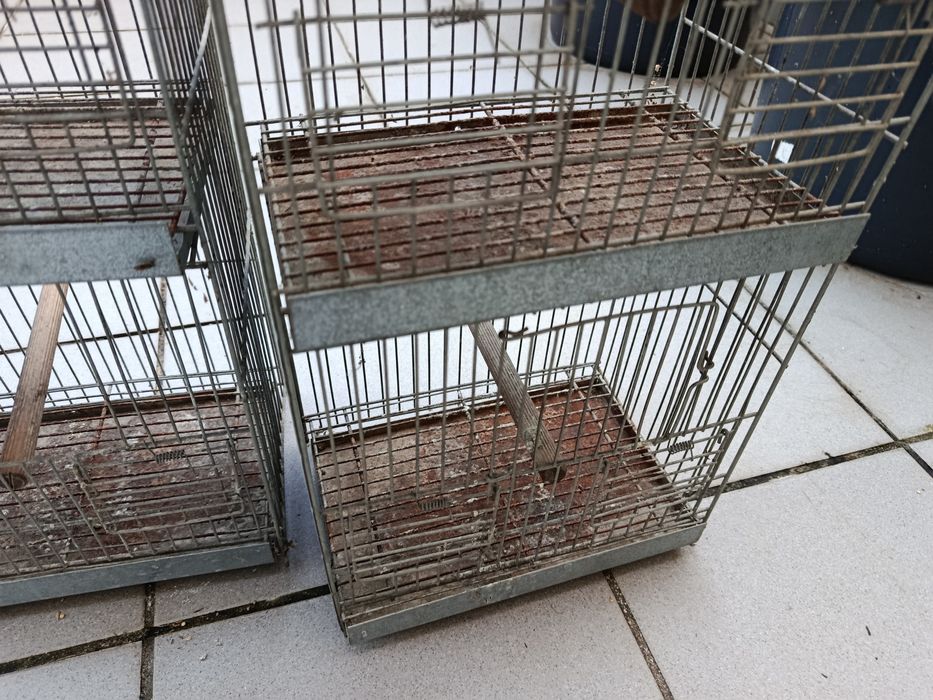 Gaiola para canário pintassilgo ou outras aves