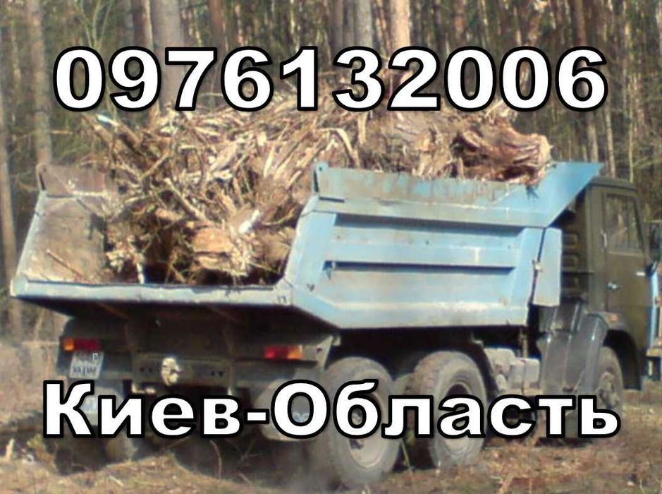 Вывоз мусора старых домов измельчение веток Спил обрезка деревьев пней
