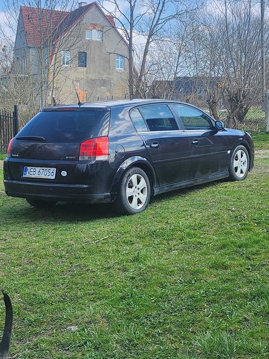 Opel Signum 2007