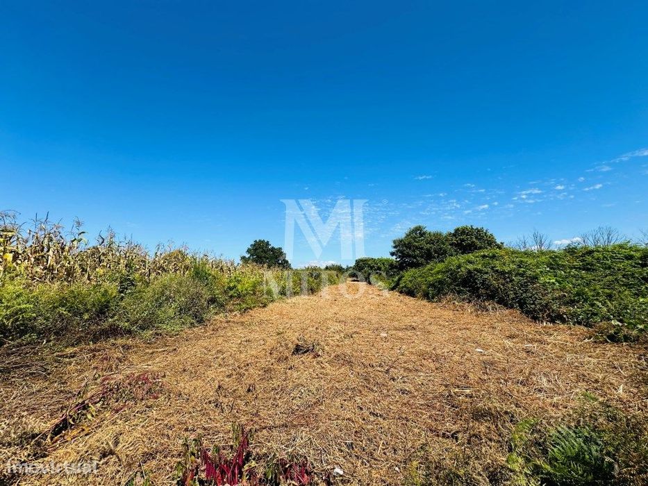 Terreno agrícola para venda em Cardielos - Viana do Castelo