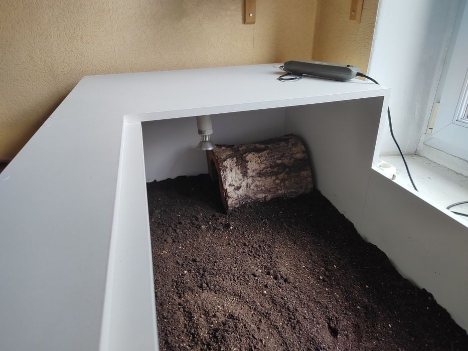 terrarium dla żółwia zdejmowane wieko