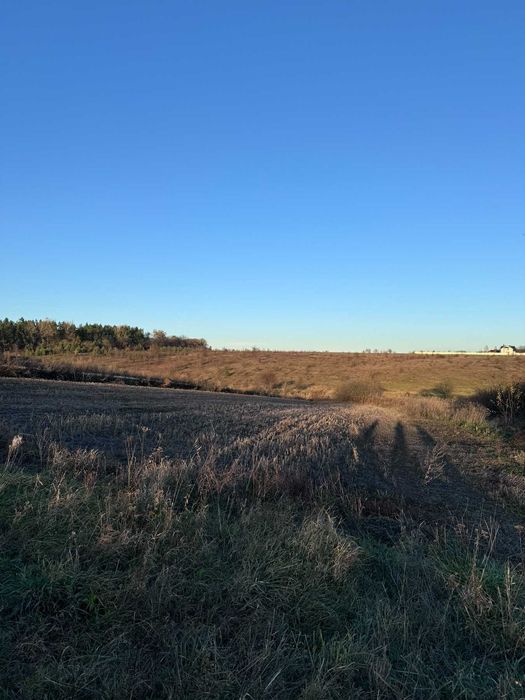 Ділянка село Ружичанка