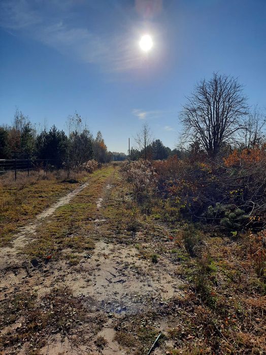 Działka w Chrustach Nowych: 1256 m2