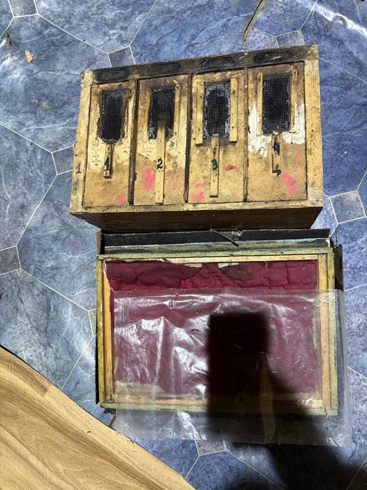 Нуклеуси для бджоломаток (чотирьохмісні)