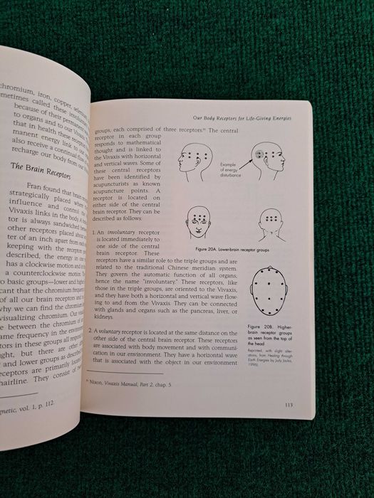 The Vivaxis Connection - Judy Jacka, N.D.
