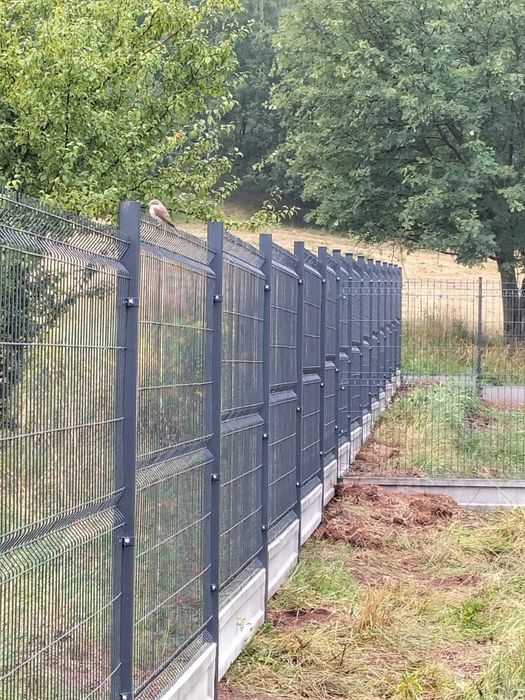 Profesjonalny Montaż Ogrodzeń - Atrakcyjne ceny i szybka realizacja