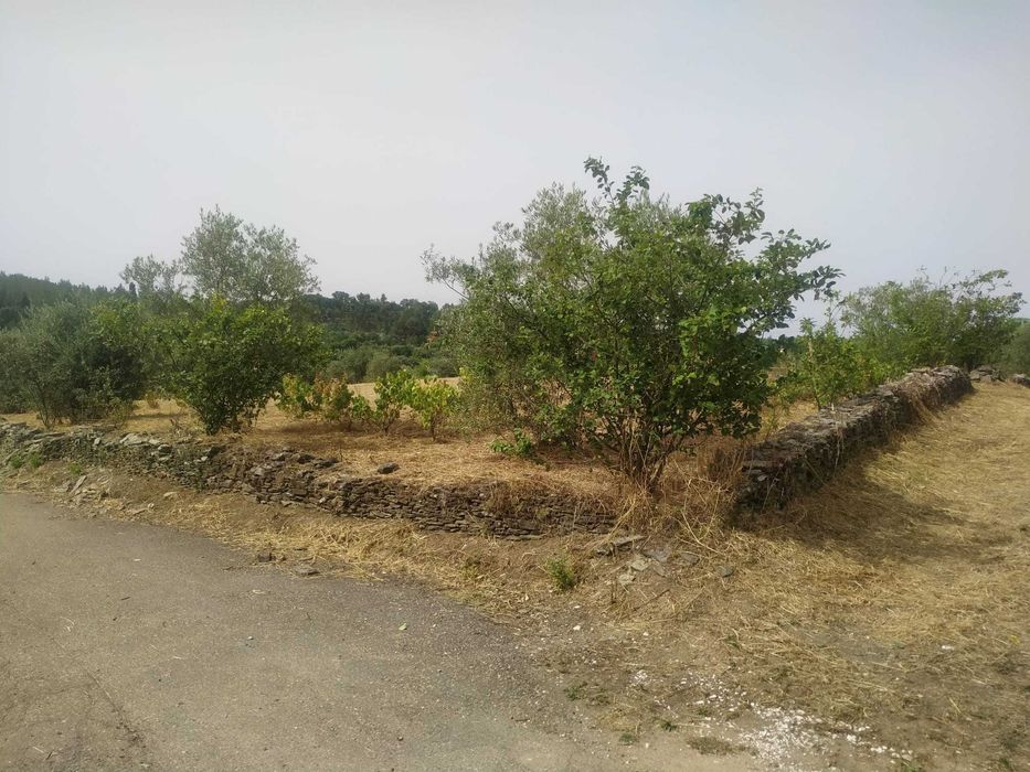 Terreno rústico Degracia - Gavião