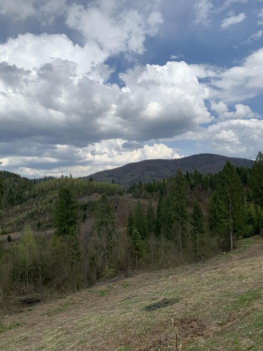 Продається земельна ділянка