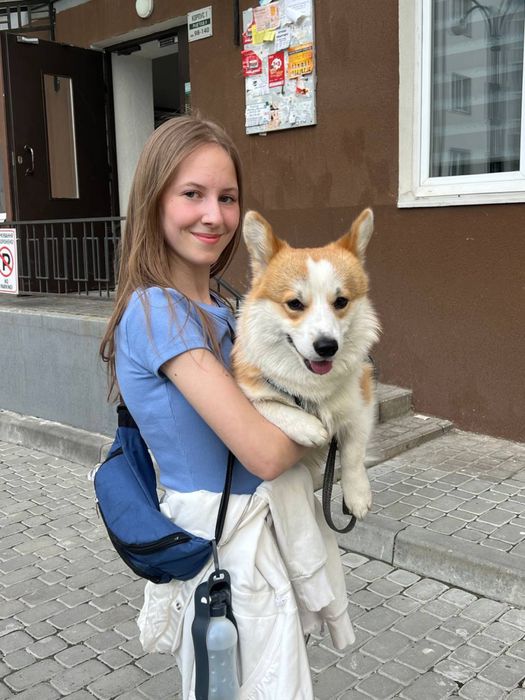 Зооняня , вигул собак