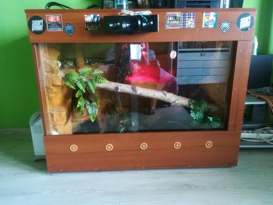 Terrarium