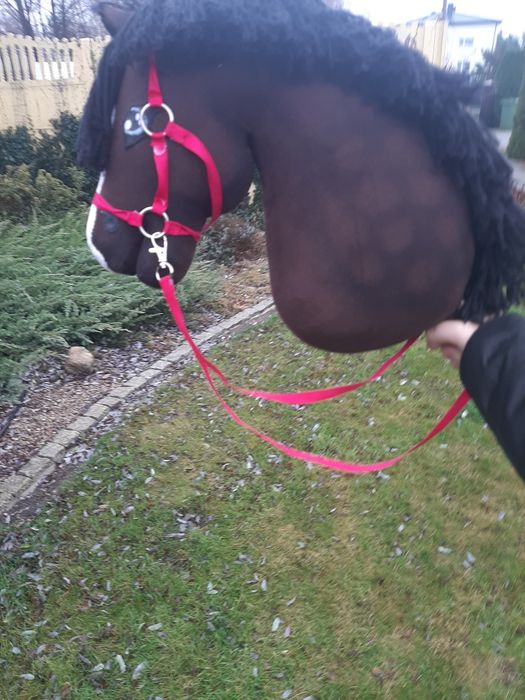 Hobby Horse Gniady