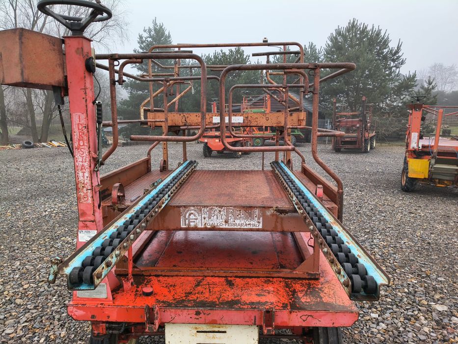 Platforma sadownicza samojezdna F.lli Festi