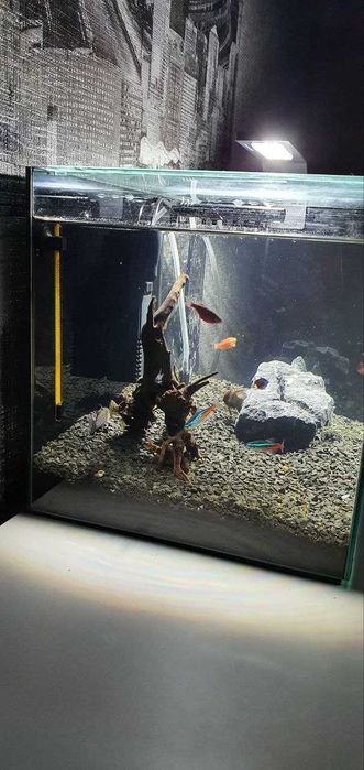 Продам акваріум 22 л