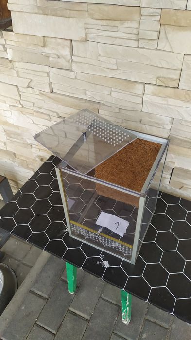 Terrarium dla modliszek i innych.