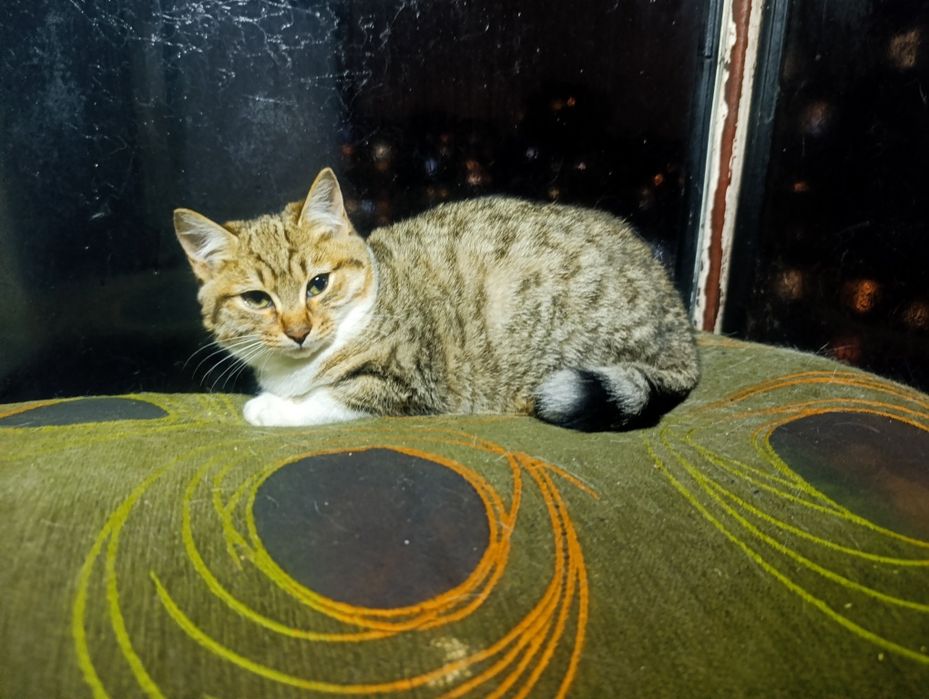 Маленькі бешкетникі