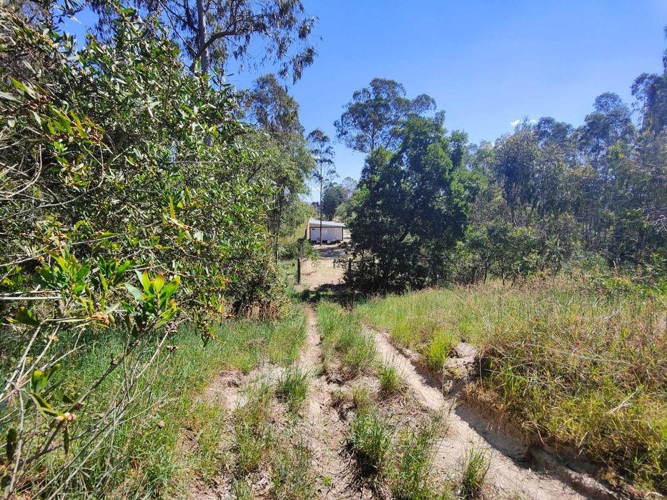 Quintinha Rústica com Moradia T2 pronta a Habitar