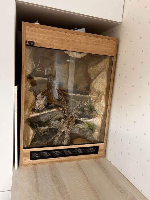 Duże terrarium 85 × 60 × 52,5 cm – kompletne wnętrze