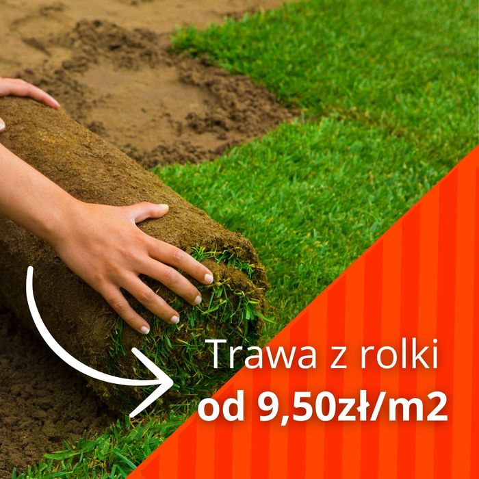 Trawa trawnik z rolki sprzedaz transport montaż