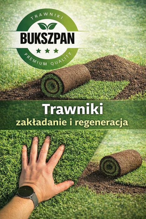 Zakładanie i pielęgnacja trawników