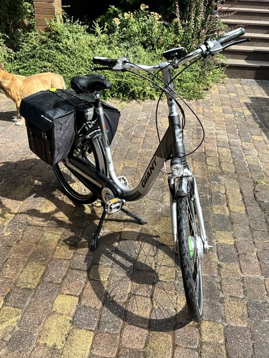 Elektryczny Giant Twist DUO HYBRYD