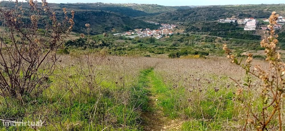 Terreno Rústico  Venda em São João das Lampas e Terrugem,Sintra