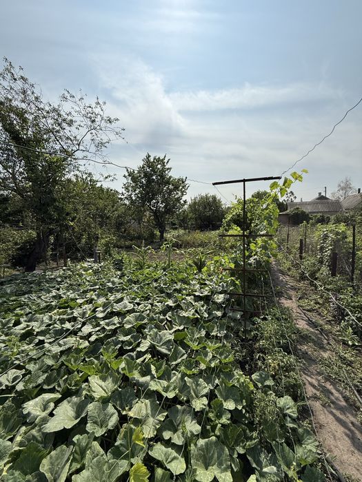 Продается дом. Былбасовка. Славянск.