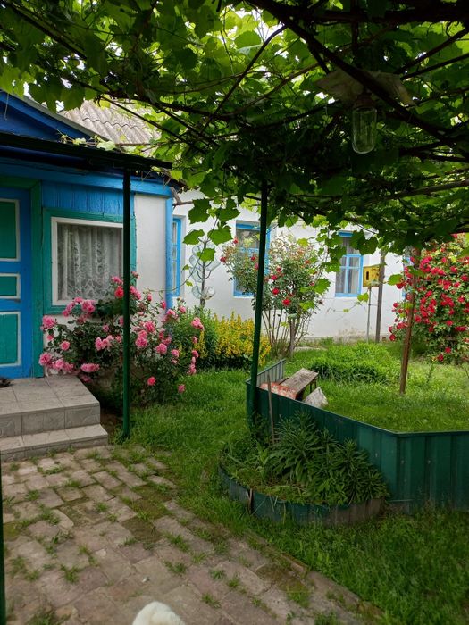 Продам будинок в селі Серединка Чернігівського району