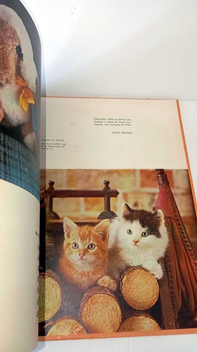 ABC dos Gatinhos