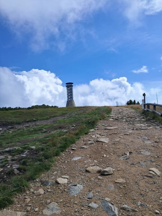 Dom pod Śnieżnikiem Apartament 2-7 os