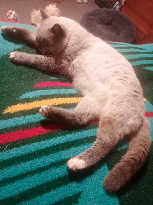 Шикарний молодий хлопчик