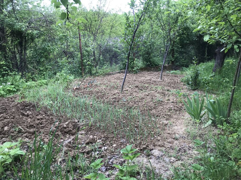 Ділянка з будинком